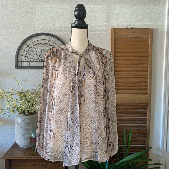 Daniel Rainn Blouse - Picture 4 of 8